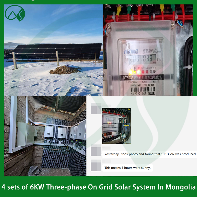On Grid Solar Power Plant In Mongolia